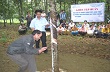 Phú Yên:  Phổ biến kỹ thuật trồng cao su